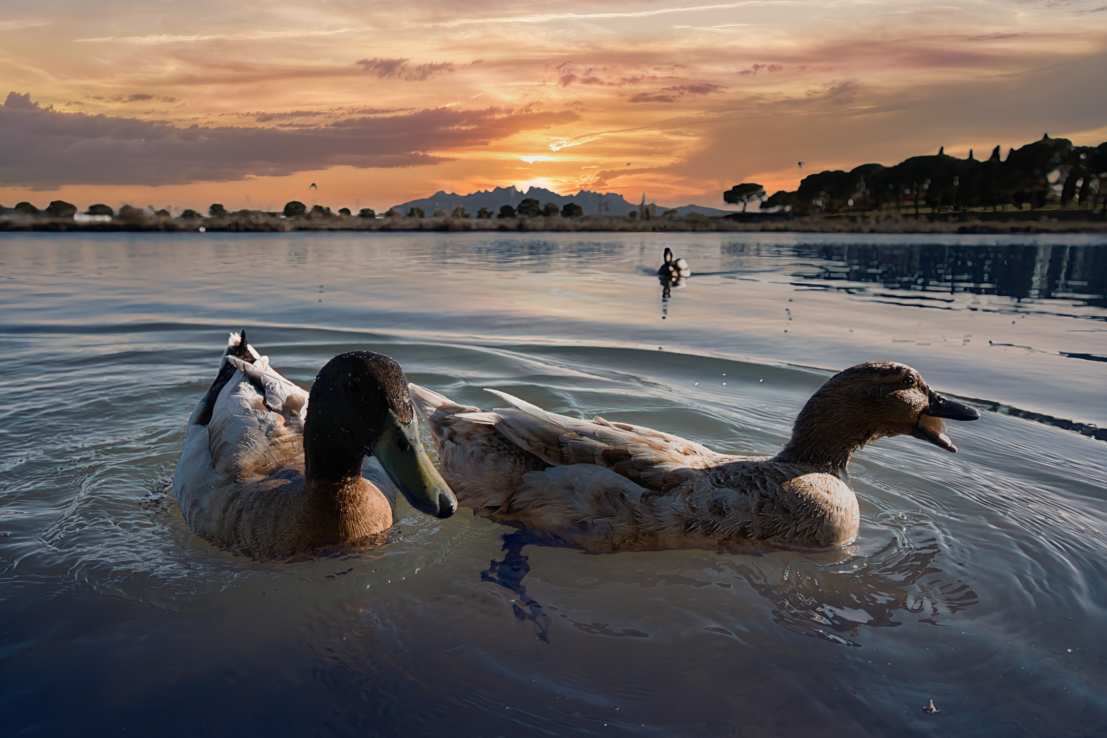 Parc de l´Agulla en Manresa, al atardecer. Realizada con una Sony A7C II y objetivo Sony FE 70-200 f/4 full frame. #parcagullamanresa
@sonyalpha
@sony.espana
#sonya7cii