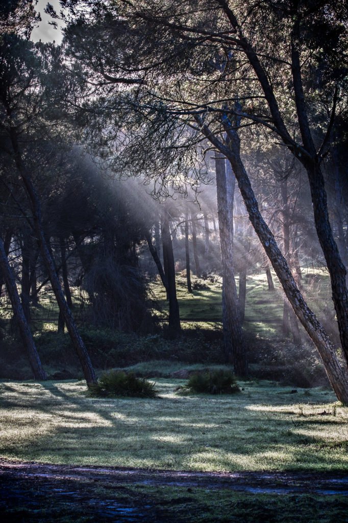 Cursos fotografía Barcelona