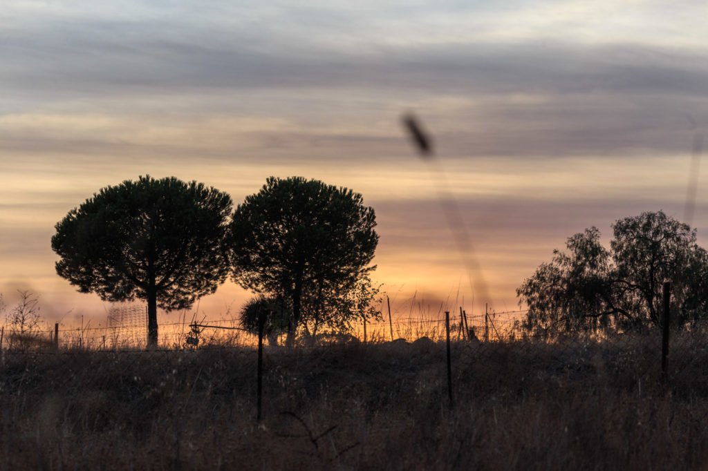 Cursos fotografía Barcelona