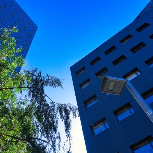 El arte del encuadre: ruta fotográfica de composición